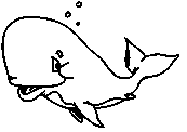 coloriage jolie baleine